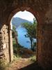 Thumbnail of Photo Number 428