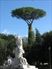 Thumbnail of Photo Number 439
