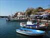 Thumbnail of Photo Number 762